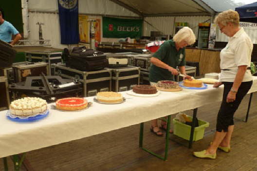 KSF2010SSV-009