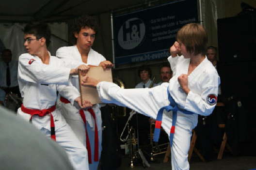 KSF2010SSV-027
