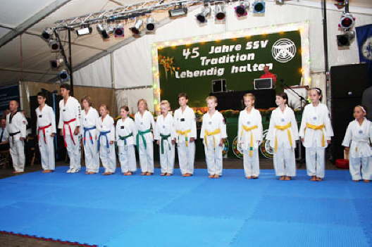 KSF2010SSV-030