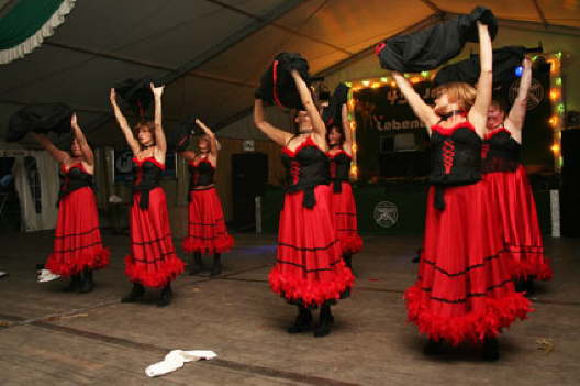 KSF2010SSV-095